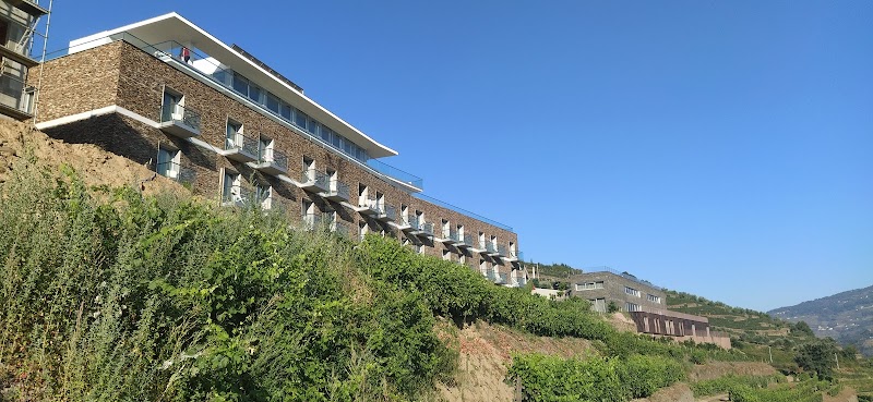 Delfim Douro Hotel photo from Google Places