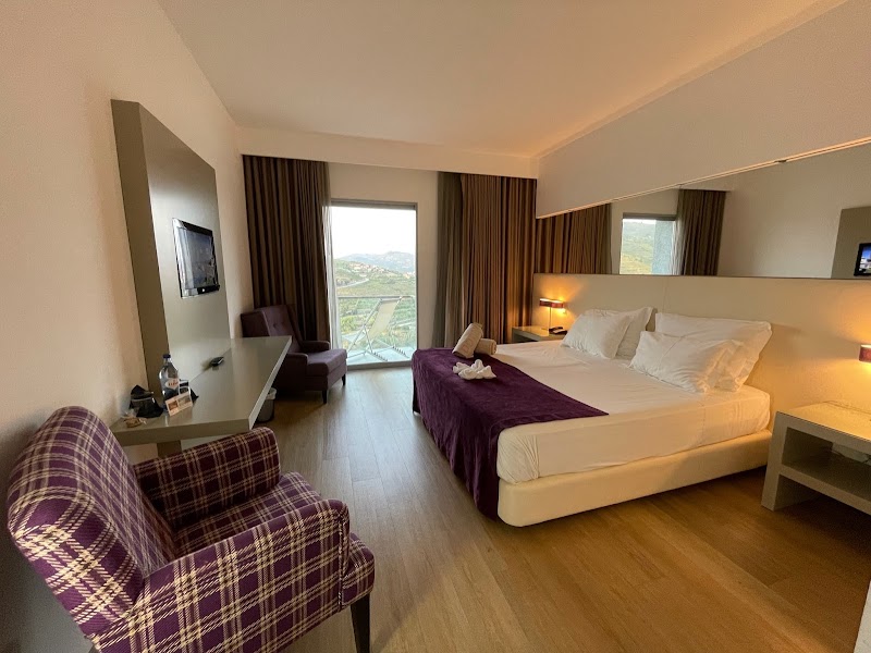 Delfim Douro Hotel photo from Google Places