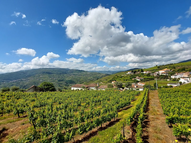 Hotel Douro Scala photo from Google Places